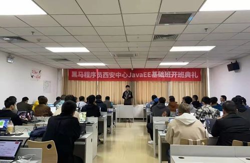 黑馬程序員技術(shù)交流社區(qū) 打造高效技術(shù)咨詢與學(xué)習(xí)平臺